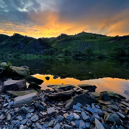 דירה Riversidemosel Burg Free Netflix Primevideo Ebikeparking Burg (Bernkastel-Wittlich)