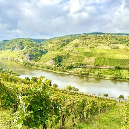 Riversidemosel Burg Free Netflix Primevideo Ebikeparking Apartamento