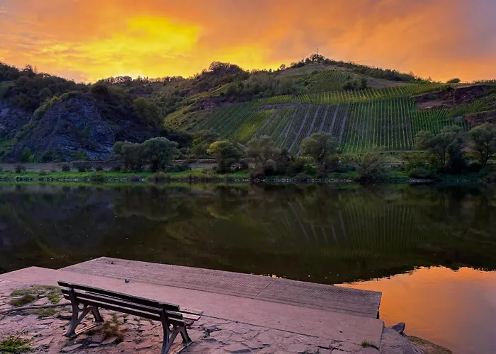 Appartamento Riversidemosel Burg Free Netflix Primevideo Ebikeparking