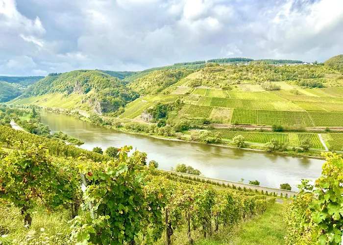 Riversidemosel Burg Free Netflix Primevideo Ebikeparking Appartamento